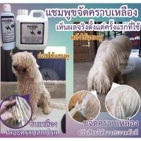 ราคา แชมพูสุนัขขนขาว Pethera Super White Coat สูตรพิเศษสำหรับสุนัขที่มีขนสีขาว 1000ml. #Dog #Cat #Pet #Shampoo #น้องหมา #แมว (4777943655)