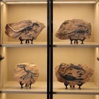 ราคา สร้างสรรค์จําลองฟอสซิลไดโนเสาร์ตกแต่งซอรัสเร็กซ์กระดูกงานฝีมือบ้านห้องนั่งเล่นโรงแรมร้านตกแต่งตกแต่ง (29733934585)