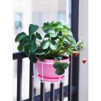 ราคา ชั้นวางศิลปะเหล็กพืชสีเขียวกระถางดอกไม้ฉ่ํา Terrace แขวนแขวนดอกไม้ยืนเก็บแขวนผนังระเบียงแขวนกระถางต้นไม้ราง UHJE (29692552292)