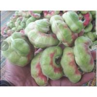 ราคา ต้นพันธ์ มะขามเทศ หวาน พันธุ์สีชมพู มะขามข้อง พร้อมปลูกในถุงดำ ต้นละ 59 บาท (24430247971)