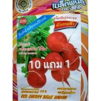 ราคา แรดิช เมล็ดแรดิช Red Cherry Belle Radish ประมาณ 120 เมล็ด (10 แถม 1)ตราสี่ทิศ แรดิส (6013392905)