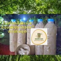 ราคา หน่อไม้ดอง ขนาด 600 มล.ปราศจาคสารเจือปน หน่อไม้ดองเกลือแท้100% ไม่ใส่วัตถุกันเสีย ไม่ใส่สารฝอกขาว (24233860051)