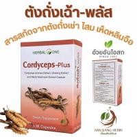 ราคา ตังถั่งเฉ้า พลัส 30 แคปซูล Cordyceps Plus Capsule อ้วยอันโอสถ Herbal One สารสกัดจาก ตังถั่งเฉ้า โสม เห็ดหลินจือ ถั่งเช่า (24280571418)