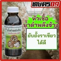 ราคา หัวเชื้อน้ำดำพลังช้าง ฮอร์โมนจุลินทรีย์ยับยั้งราเขียว ใช้ได้กับเห็ดทุกชนิด เห็ดหูหนู เห็ดนางฟ้า เห็ดฟาง 100 มล. (42706527276)