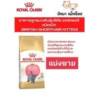 ราคา British Shorthair Kitten / Royal Canin แมว แบ่งขาย 1 กก. (18054147765)