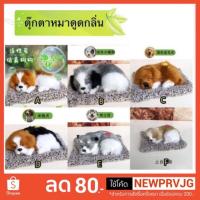 ราคา พร้อมส่ง ! ตุ๊กตาดูดกลิ่น ดับกลิ่น ดับกลิ่นเสื้อผ้า ดับกลิ่นอับ ดับกลิ่นในรถ ดับกลิ่นเหม็น ดับกลิ่นห้องน้ำ (1874796944)