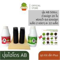 ราคา อุปกรณ์ ปลูก ผักไฮโดรโปนิกส์ ปุ๋ยไฮโดรโปนิกส์ ปุ๋ย ab อุปกรณ์ปลูกผักสลัด DIY ปุ๋ยผักสลัด hydroponic (7141168119)