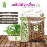 ราคา เมล็ดต้นอ่อนโต้วเหมี่ยว ต้นอ่อนถั่วลันเตา เมล็ดพันธุ์ผักออแกร์นิก Microgreen พร้อมปลูก สวนครัวในบ้าน (14955489839)
