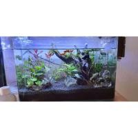 ราคา ตู้ปลานาโน35×21×23 cm.พร้อมไฟLED มือสอง (ตู้เปล่า)ไม่แยกขาย (11152626421)