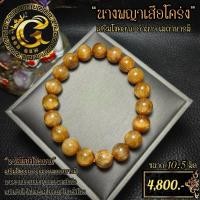 ราคา ไหมทองนางพญาเสือโคร่ง Special Gold Rutilated Quartz กำไลข้อมือ G10-48 (26614584161)