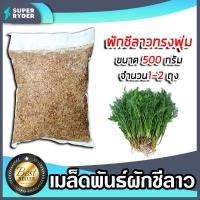 ราคา เมล็ดผักชีลาว (ทรงพุ่ม) หนัก 500กรัม ให้เลือก 1-2 ถุง เมล็ดพันธุ์ผักชีลาว เมล็ดพันธุ์ผัก โตง่าย โตเร็ว ผลผลิตงาม (44305548328)