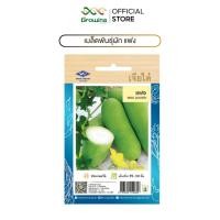 ราคา CHIA TAI เมล็ดพันธุ์ผัก เจียไต๋ เมล็ดผักพื้นบ้าน ผักซอง ผัก แฟง (28940129807)