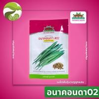 ราคา เมล็ดพันธุ์บวบงูลูกผสม บวบงู อนาคอนด้า02 ลอตใหม่ (20656020688)