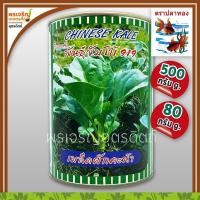 ราคา เมล็ดพันธุ์คะน้า คะน้ายอด คะน้าจัมโบ้ 919 (80, 500 กรัม) เมล็ดคะน้ายอด เมล็ดคะน้าปลาทอง เมล็ดพันธุ์ผักสวนครัว ตราปลาทอง (9717369857)
