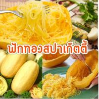 ราคา เมล็ดพันธุ์ ฟักทองสปาเก็ตตี้ Spaghetti Squash (3436094641)