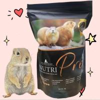 ราคา อาหารแพรี่ด็อก Nutri-pro 1 กิโล กระต่ายแกสบี้ชินชิล่า ส่งด่วน (28921944940)