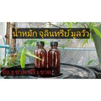 ราคา น้ำหมักมูลวัวสูตรเข้มข้น#หมักด้วยEM#หมักด้วยจุลินทร์หน่อกล้วย (5776557869)