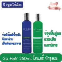 ราคา Go Hair 250ml โกแฮร์ บำรุงผม 250มล (22241024866)