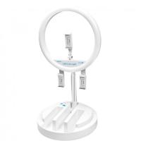 ราคา NiceFoto LR-318C LED Live Light (16824447916)