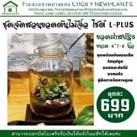 ราคา สวนขวด ชุดจัดสวนในขวดแก้ว ไซต์ L PLUS ราคา 699 บาท วัสดุอุปกรณ์ครบ (28710844854)
