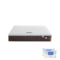 ราคา SB Design Square ที่นอน LOTUS รุ่น MATILDA 300 ขนาด 6ฟุต แถมฟรีหมอนหนุน 2 ใบ (22986457288)