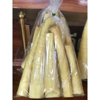 ราคา หน่อไม้ต้ม หน่อไม้เมืองกาญจน์ (ต้มใหม่)บรรจุถุงต้มสะอาด (42264114146)