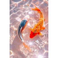 ราคา ทําเอง 5ง สแควร์เพชรเย็บปักถักร้อยปลาคู่ปลาคราฟเต็มเพชรจิตรกรรมปักครอสติลูกปัดจิตรกรรม (27740071993)