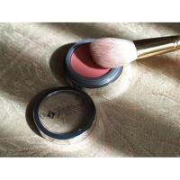 ราคา Jordana BLUSH POWDER (2881834522)