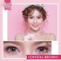 ราคา Mini Crystal Brownสายตาปกติ,-2.25,-3.25 (kitty kawaii) (6000611230)