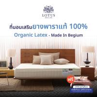 ราคา [ฟรี!ชุดผ้าปู] LOTUS ที่นอนยางพารา (สเปคแน่นสบาย) รุ่น Microlatex ll หนา 9 นิ้ว ส่งฟรี (18937177430)