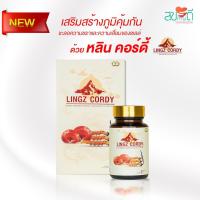 ราคา Lingz cordy (หลิน คอร์ดี้) ถั่งเช่าสกัด เห็ดหลินจือสกัด (5241507599)