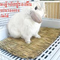 ราคา แผ่นรองกรง ถนอมเท้าสัตว์เลี้ยง รองกระต่าย ที่นอนทำจากหญ้าแห้งสำหรับกระต่าย สัตว์ขนาดเล็ก สัตว์ฟันแทะ หนู แกสบี้ (24253068651)