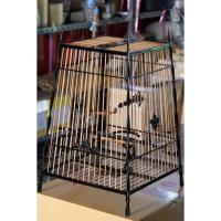 ราคา กรงนก 15 ซี่ สปอร์ต เสาสายฟ้า ไม้ขาวดำ ไผ่ รุ่นแรก บังยัน (26788459554)