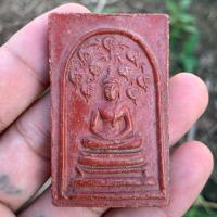 ราคา พระสมเด็จปรกโพธิ์เก้าใบ หลวงพ่อกวย ชุตินธโร วัดโฆสิตาราม (28643136795)