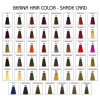 ราคา สีย้อมผมเบอริน่า/ ครีมเปลี่ยนสีผมเบอริน่าA21-A40 (8751502664)