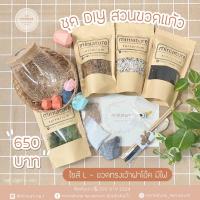 ราคา ชุดจัดสวนขวดแก้ว ไซส์ L-ขวดทรงเว้าฝาโอ๊ค มีไฟ (11*11.5+Light) (22825530260)