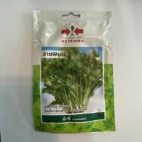 ราคา สายพิรุณ ศรแดง เมล็ดพันธ์ุผักชี ชื่อพันธ์ุสายพิรุณ เมล็ดพันธ์ุคุณภาพตราศรเเดง (5831862139)