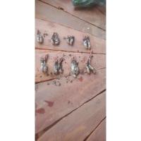 ราคา ว่านจั๊กจั่นหรือต่อเงินต่อทอง (28850311427)