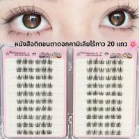 ราคา Sweet Camellia ขนตาปลอมปราศจากกาว Elf ธรรมชาติจําลอง Lazy Trilogy เดี่ยวคลัสเตอร์สามเณร Segmented Eyelashes (43558008992)