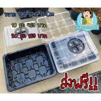 ราคา ชุดเพาะเมล็ด หรือ ต้นกล้า (9984829693)