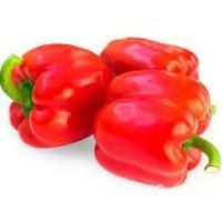 ราคา ผลิตภัณฑ์ใหม่ เมล็ดพันธุ์ สปอตสินค้า❤พริกยักษ์หวานสีแดง ถูกที่สุด 10 บ.เมล็ดอวบอ้วนพริกยักษ์หวานยัก20 เมล็ดปลูก /ดอก CU1 (22808258042)