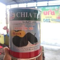 ราคา เมล็ดฟักทองลุกผสม ทองอำไพ 426 (2777516421)