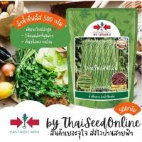 ราคา Sorndang(ศรแดง) EWCOM เมล็ดพันธุ์ ถั่วฝักยาว ถั่วเนื้อของแท้ ลำน้ำชีพลัส 500 กรัม ตราศรแดง (42450355747)