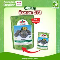 ราคา เมล็ดพันธุ์ ฟักทองข้าวตอก 573 ตราศรแดง ขนาด 100 กรัม (6743511795)