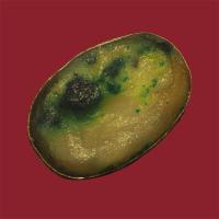 ราคา สีผึ้ง มหาเสน่ห์ ยุคเก่า ตลับเงิน (26181598768)