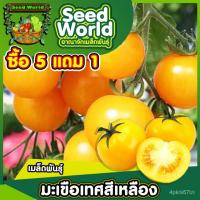 ราคา （คุณภาพสูง เมล็ด）เมล็ดมะเขือเทศสีเหลือง มะเขือเทศลูกใหญ่สีเหลือง มะเขือเทศนำเข้า สายพันธุ์สีเ/ง่าย ปลูก สวนครัว เมล็ด G2 (18852221796)