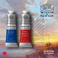 ราคา สีน้ำมัน Winsor & Newton Winton หลอด 37 มล. (2829145038)