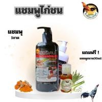 ราคา แชมพูอาบน้ำไก่ชน ทำความสะอาดไก่ชน อุปกรณ์ไก่ชน แชมพูสำหรับไก่ชน เฮอริเครนไก่ชน ซื้อแชมพู1ขวด แถมแชมพู30ml 1ขวด (40653539198)