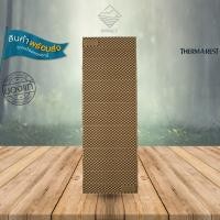 ราคา Thermarest Z-Lite แผ่นรองนอนแบบโฟมพับ (28280700492)