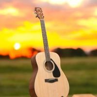 ราคา กีต้าร์มือสอง yamaha F310 สภาพ95% ใช้งานน้อยพร้อมจัดส่ง (40457192423)